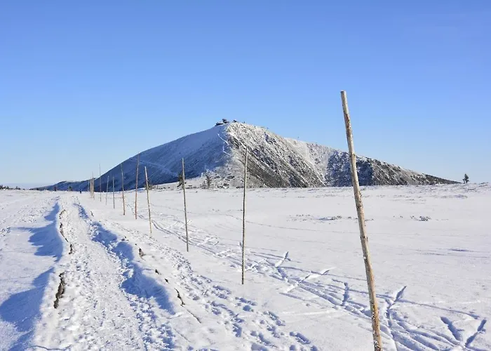 Toreja 게스트하우스